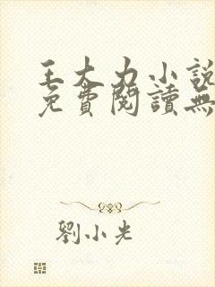 王大力小说小说免费阅读无弹窗