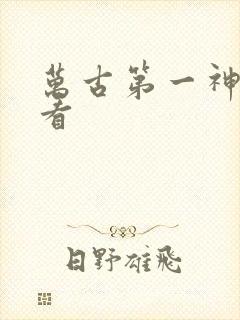 万古第一神免费看