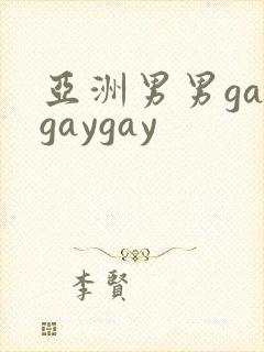 亚洲男男gaygaygay