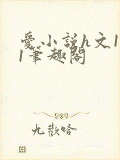 爱小说h文1v1笔趣阁