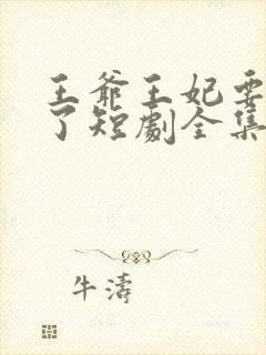 王爷王妃要和离了短剧全集