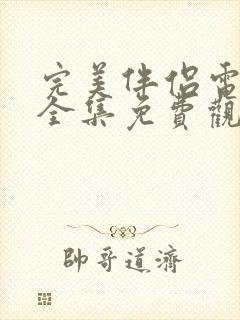 完美伴侣电视剧全集免费观看高清