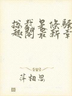 总裁是条骚狗笔趣阁最新章节免费阅读