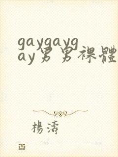 gaygaygay男男裸体封面