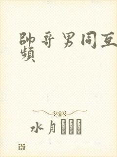 帅哥男同互操视频