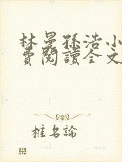 林曼孙浩小说免费阅读全文最新章节