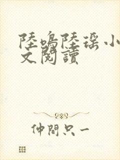 陆鸣陆瑶小说全文阅读封面