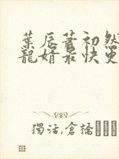 叶辰萧初然上门龙婿最快更新