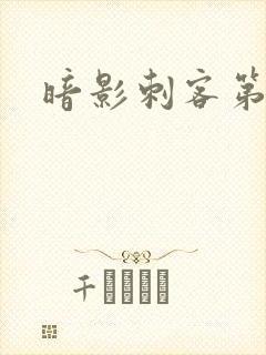 暗影刺客第4季封面