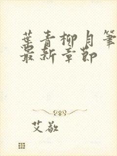 叶青柳月笔趣阁最新章节