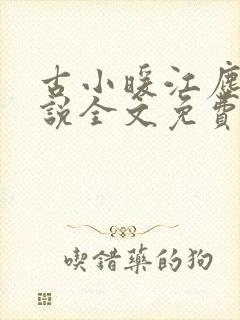 古小暖江尘御小说全文免费阅读