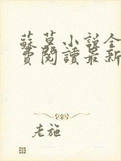 苏莫小说全文免费阅读最新章节封面