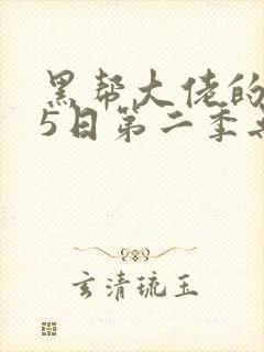 黑帮大佬的365日第二季无删减封面