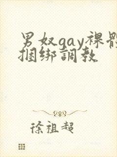 男奴gay裸体捆绑调教