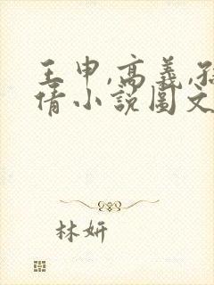 王申,高义,孙倩小说图文在线阅读