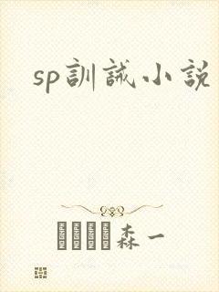 sp训诫小说封面