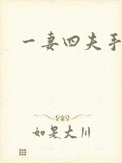 一妻四夫手记