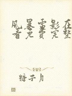 风暴电影在线观看免费完整版封面