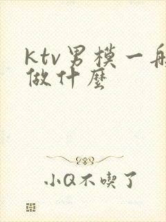ktv男模一般做什么