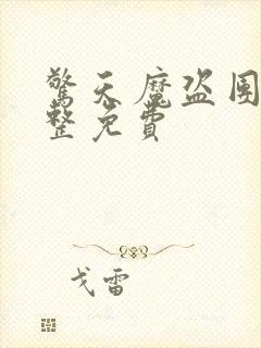 惊天魔盗团1完整免费封面