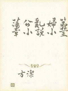 荡公乱妇第51章小说小莹封面