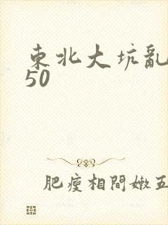 东北大坑乱1—50