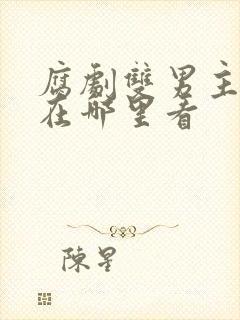 腐剧双男主动漫在哪里看