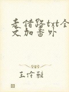 走错路txt全文加番外