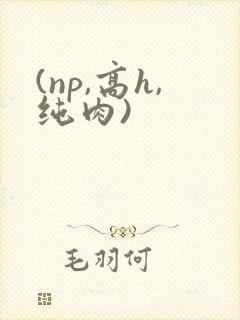 (np,高h,纯肉)