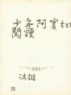 少年阿宾txt阅读