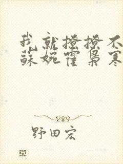 我就撩撩不负责苏婉霍枭寒全文免费阅读封面