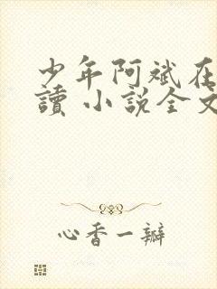 少年阿斌在线阅读 小说全文免费封面