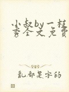 小叔by一枝独秀全文免费阅读笔趣阁最