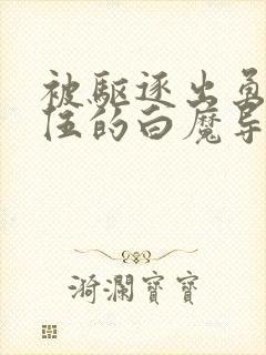 被驱逐出勇者队伍的白魔导师动漫