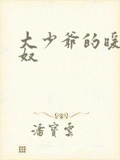 大少爷的暖床小奴