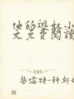 他的逃奴小说全文免费阅读封面