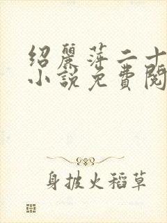 绍丽萍二十八部小说免费阅读最新章封面