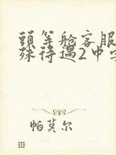 头等舱客服的特殊待遇2中字