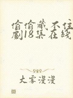 偷偷藏不住广播剧18集在线收听免费封面