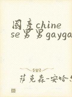 国产chinese男男gaygay网址搜索