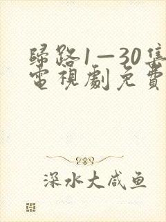 归路1—30集电视剧免费观看