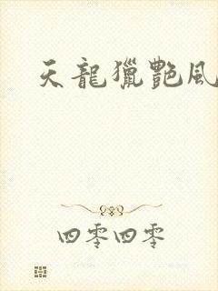 天龙猎艳风流
