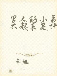 男人的小弟弟硬不起来是什么原因/