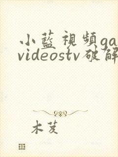 小蓝视频gayvideostv破解版封面