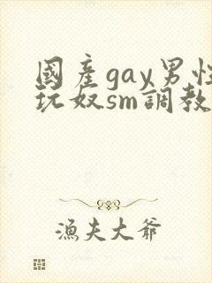 国产gay男性玩奴sm调教封面