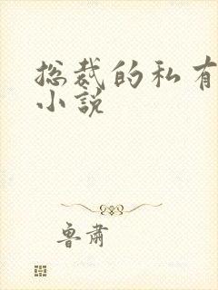 总裁的私有宝贝小说