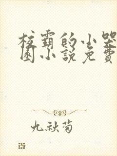 校霸的小哭包校园小说免费阅读