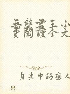 无双君王小说免费阅读全文