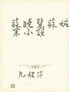 苏晓慧苏婉霍枭寒小说