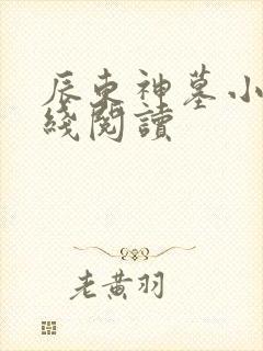 辰东神墓小说在线阅读